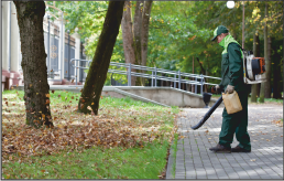 Grounds Maintenance | ECES